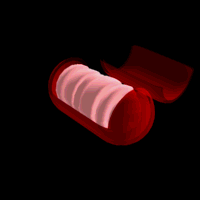 Resultado de imagen para gif de organelos"